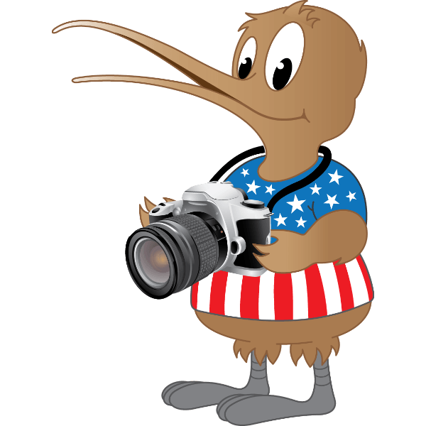 American Kiwi Photo Logo