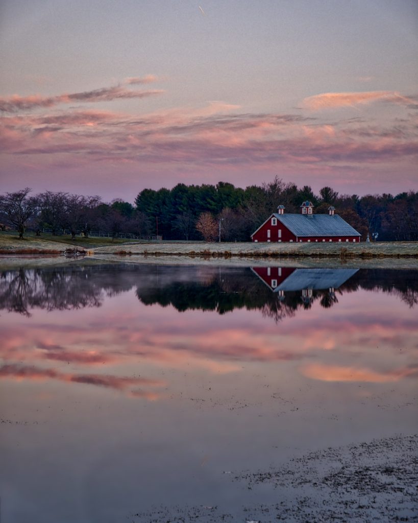 Westminster Town Pond